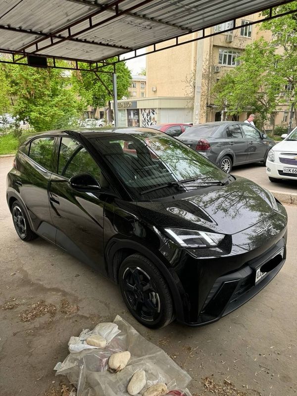 Byd seagull 405km Byd seagull 405km