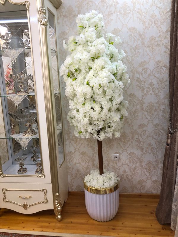 Sakura darahti