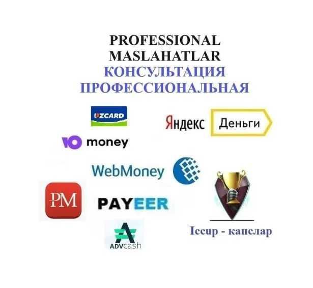 Профессионал маслахатлар Webmoney, Профессиональная консультация