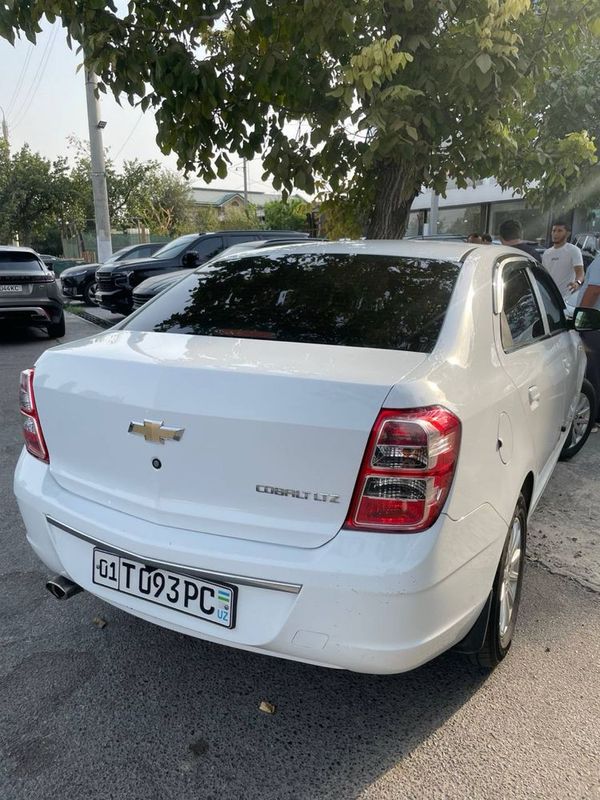 Cobalt oq masla 2020 Cobalt oq masla 2020