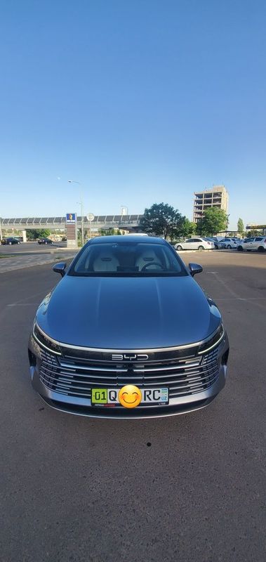 BYD Chazor chempion BYD Chazor chempion
