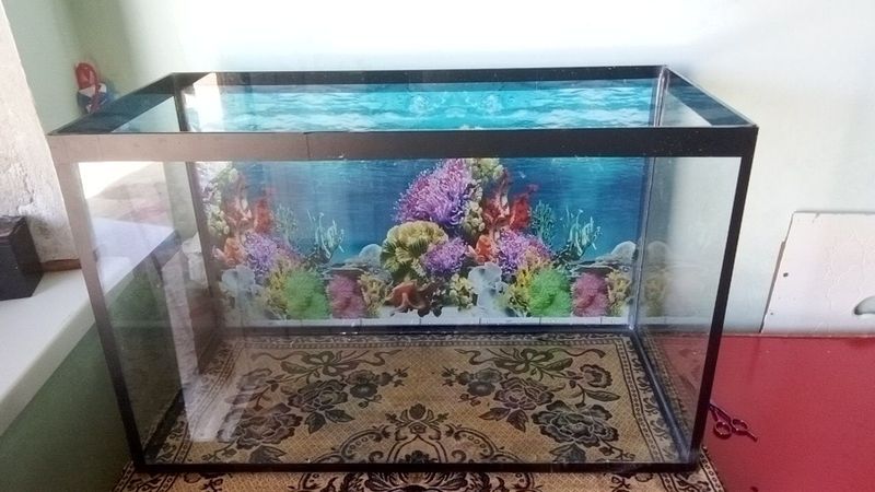Yangi 100 litirlik akvarium sotiladi Yangi 100 litirlik akvarium sotiladi