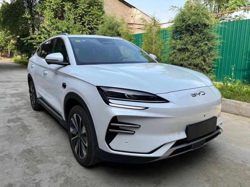 Byd Champion smart 605 NATARIUS