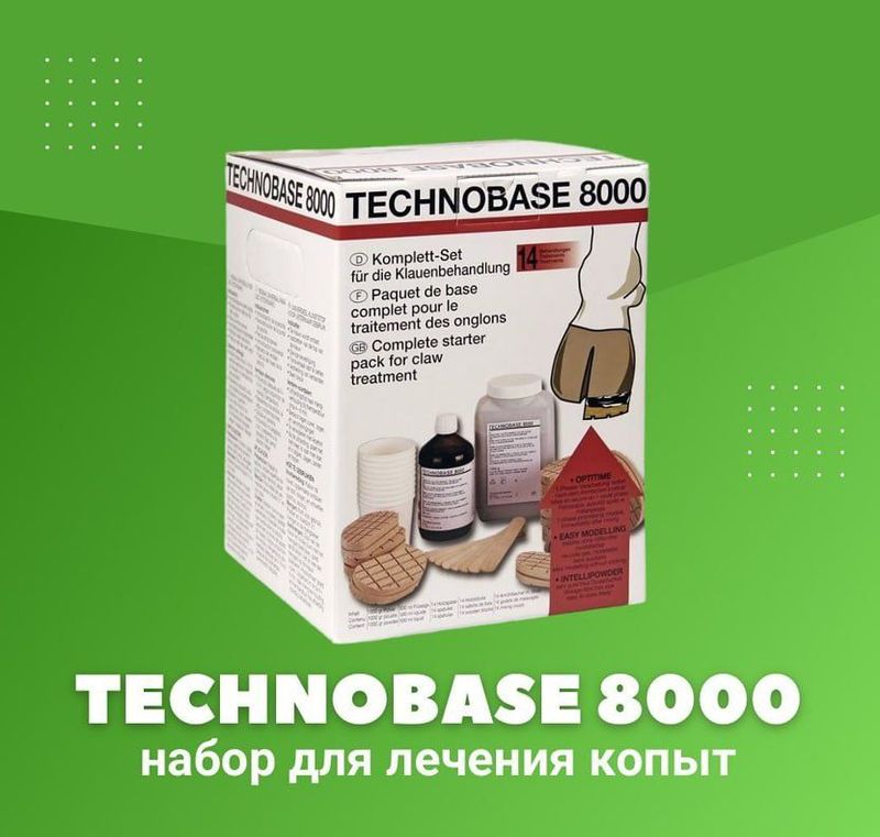 Technobase 8000, Tuyoq uchun Technobase 8000, Tuyoq uchun