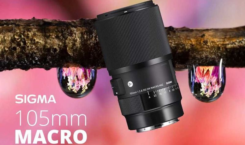 Sigma 105mm f/2.8 DG DN Macro Art Lens | Sony E Sigma 105mm f/2.8 DG DN Macro Art Lens | Sony E
