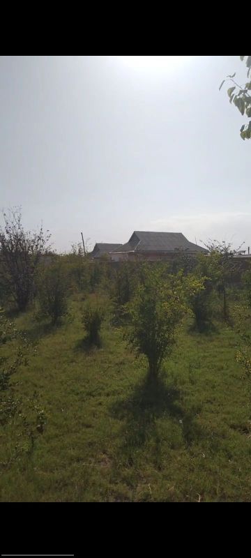 3 xona uy 15 sotih yeri bilan 3 xona uy 15 sotih yeri bilan