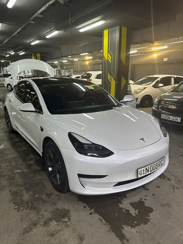 Tesla model 3 standart plus 22 год не битая не крашенная Китай