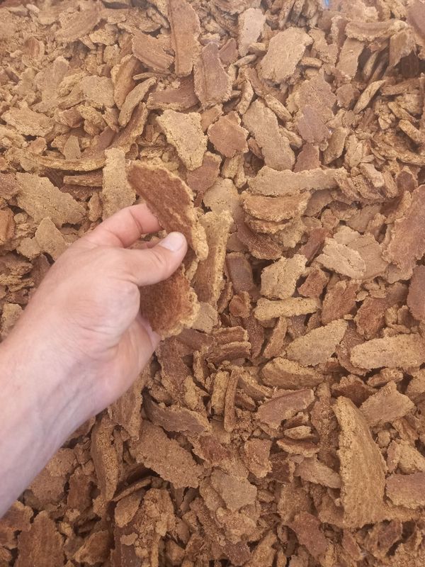 Kunjara mol va quylarga Kunjara mol va quylarga
