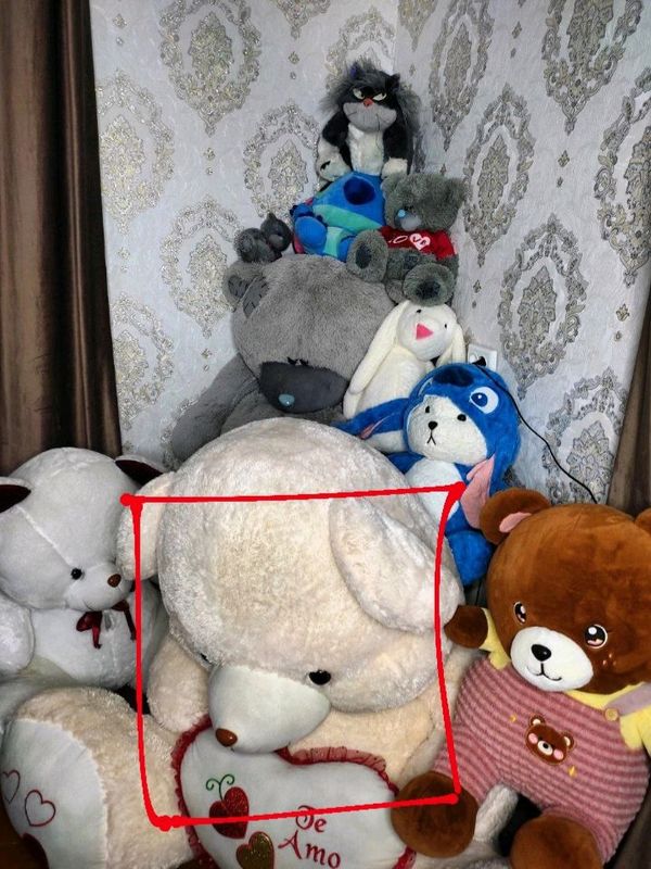 Teddy katta Teddy katta
