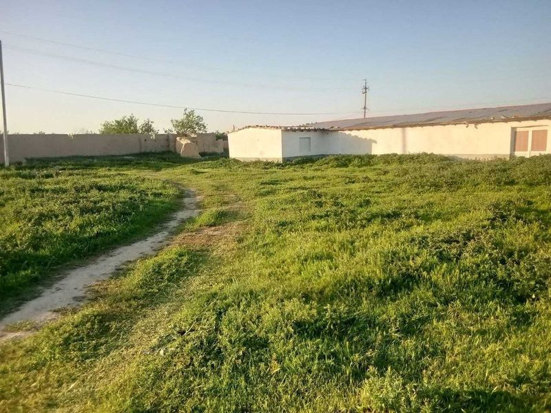 Jizzax viloyati Sharof Rashidov tumanida noturar bino sotiladi