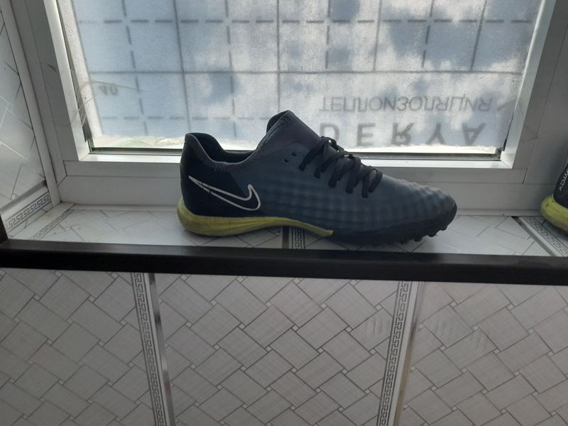 Magista sarakanojka sotiladii Magista sarakanojka sotiladii