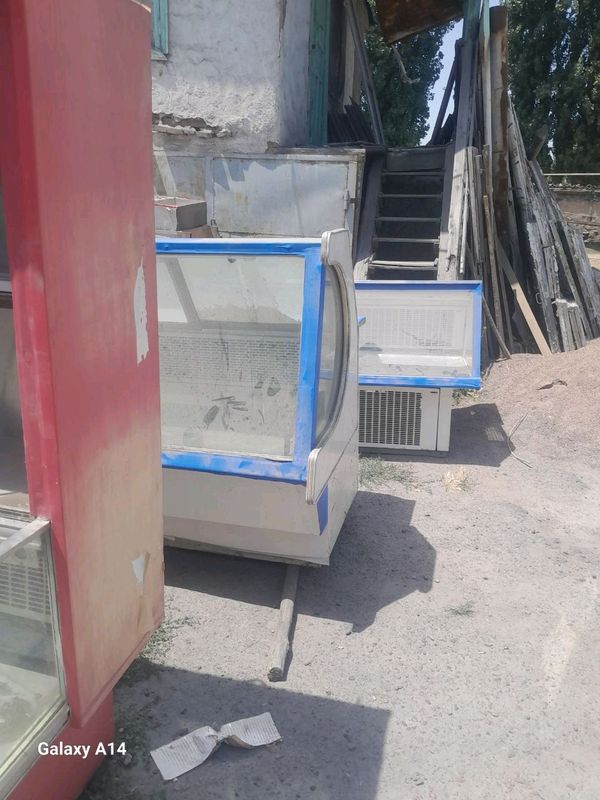 haladenik bor haladenik bor