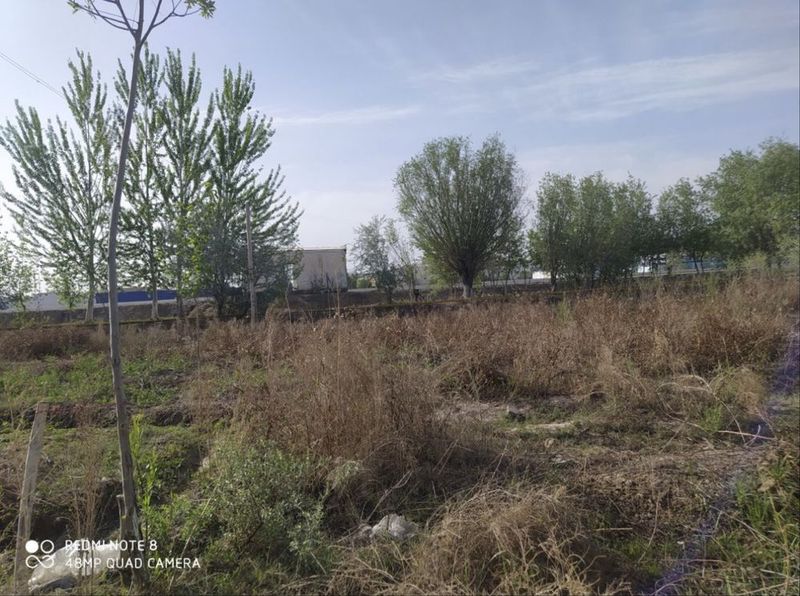 Нокис Хожели жолдын бойында 4 сотых жер план сатылады Нокис Хожели жолдын бойында 4 сотых жер план сатылады