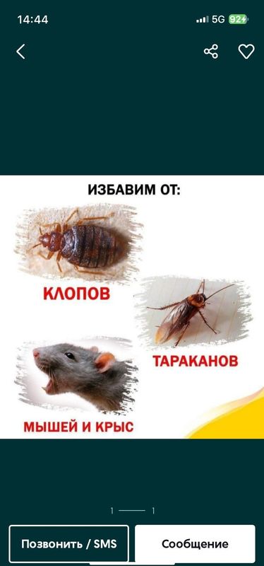 Скидки 20%дизенфекция Дизинфекция дезенфекция dizenfeksiya дезинфекция