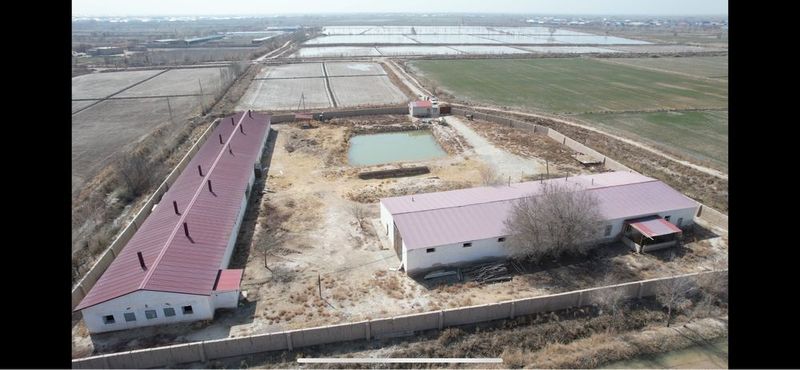 Паррандачилик фермаси