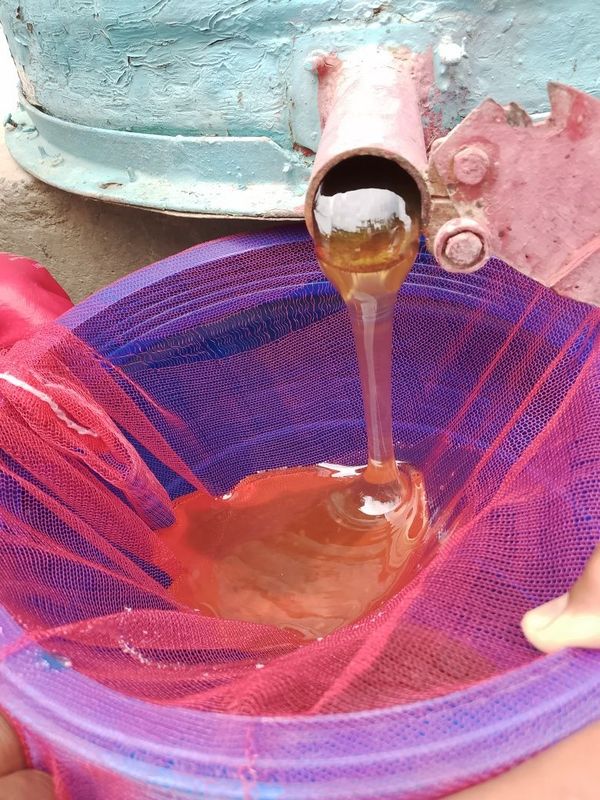 Toza Asal sotiladi Toza Asal sotiladi