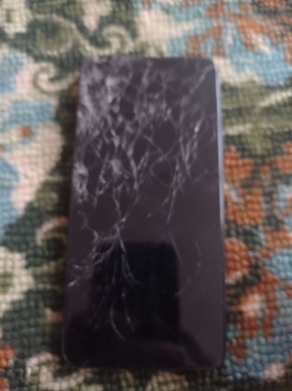 vivo2015
