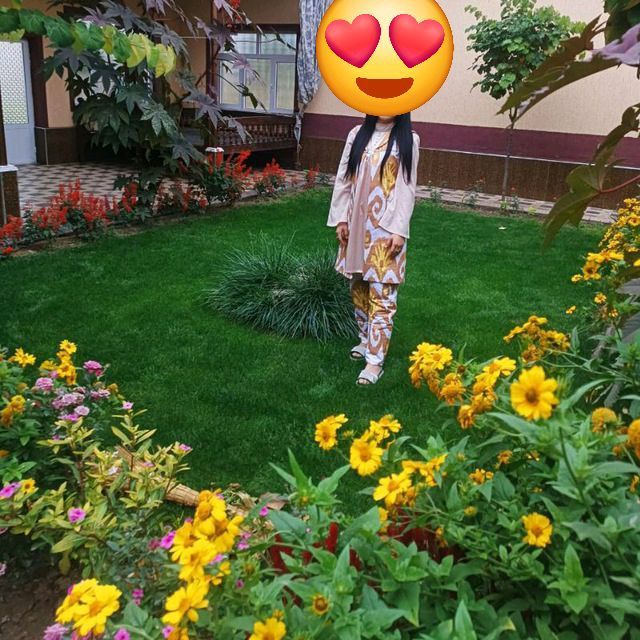 koylak koylak