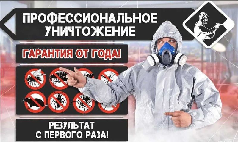Дезинфекция Dezinfeksiya 24/7 обработка клоп, таракан, запахи, плесень Дезинфекция Dezinfeksiya 24/7 обработка клоп, таракан, запахи, плесень
