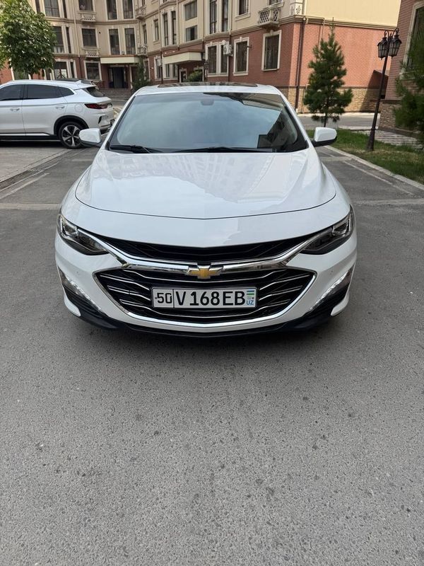 Malibu Primer 2022 Malibu Primer 2022