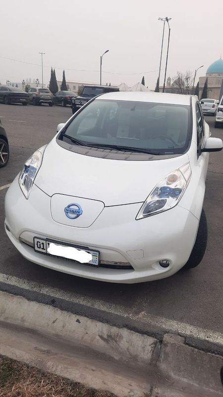 Nissan elektromobil