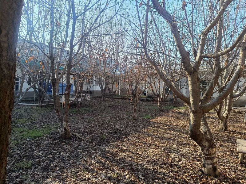 V390 ПРОДАЕТСЯ_ДОМ Хасанбай оток_10 10комнат V390 ПРОДАЕТСЯ_ДОМ Хасанбай оток_10 10комнат
