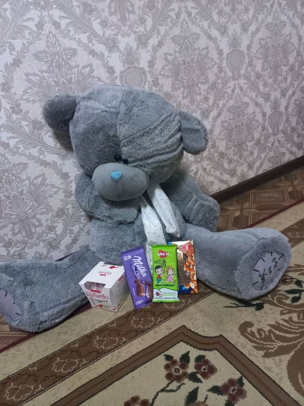 tedy ayiqcha