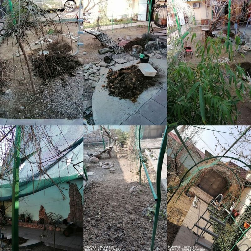 Оказываем Услуги Садоводства по Г. Ташкент Оказываем Услуги Садоводства по Г. Ташкент
