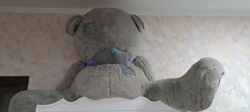 teddy ayiq yumshoq õyinchogʻi kottasi. 600.000 som teddy ayiq yumshoq õyinchogʻi kottasi. 600.000 som