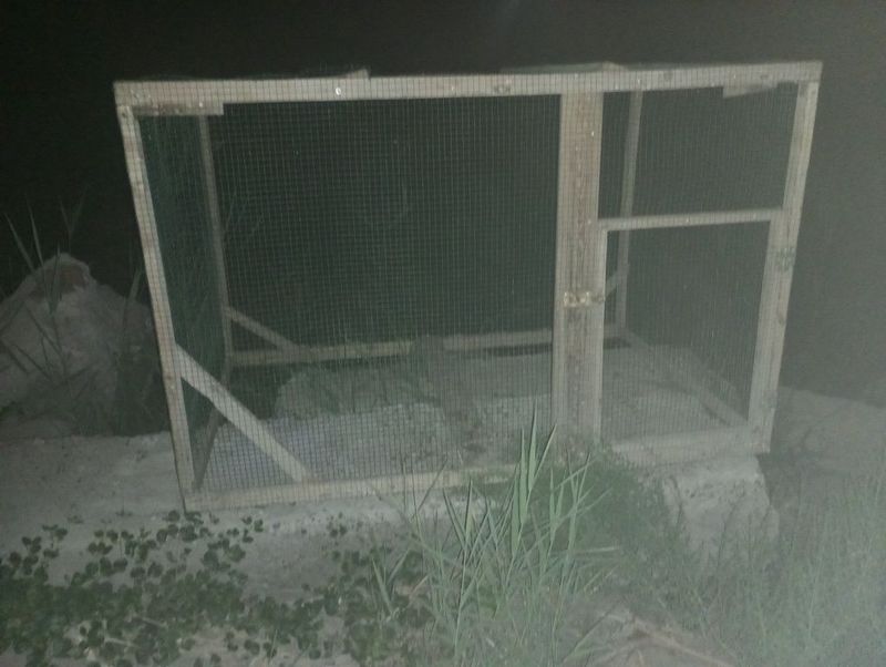 Tovuqlar uchun katak sotiladi Tovuqlar uchun katak sotiladi