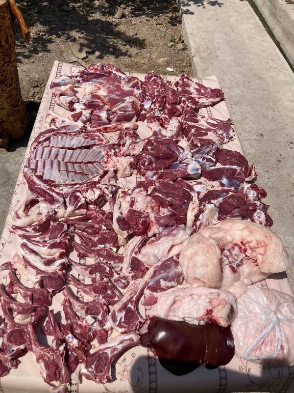 Qoy куй кой qochqorlar sotiladi 20 kg 60kg bor
