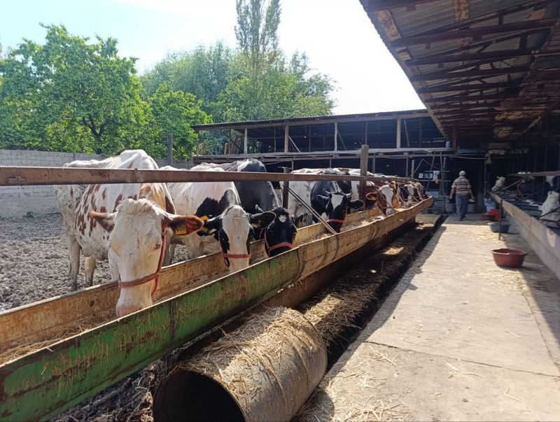 Ferma arenda ili prodaja Ferma arenda ili prodaja