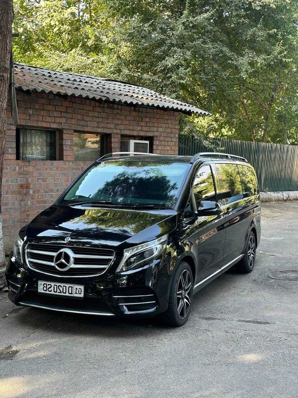 Mercedes Benz Viano 2019