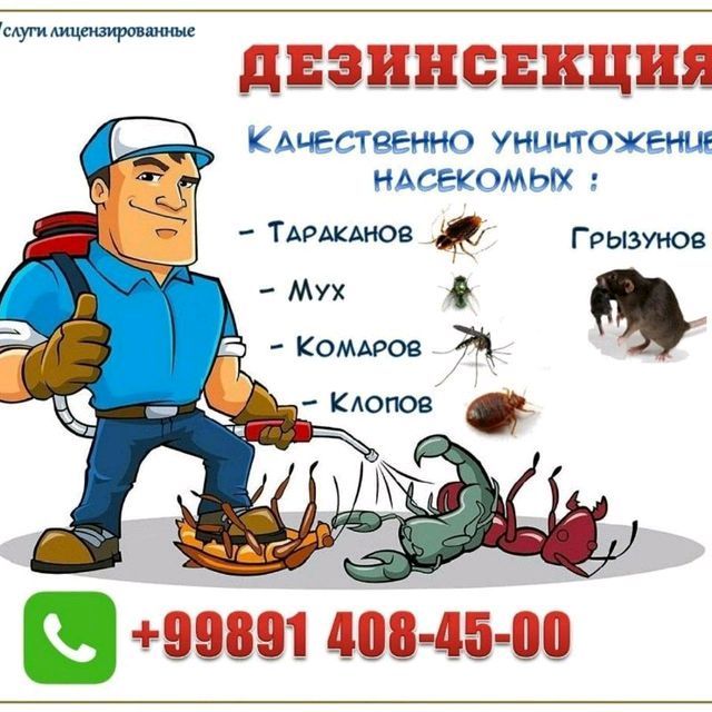 Услуги дезинфекции против насекомых и грызунов Услуги дезинфекции против насекомых и грызунов