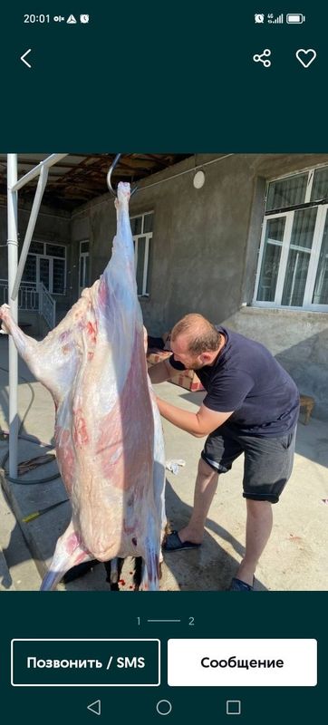 Кассоб хизмвти курболика сифатли куп йилик тажрибага эга кассобла Кассоб хизмвти курболика сифатли куп йилик тажрибага эга кассобла