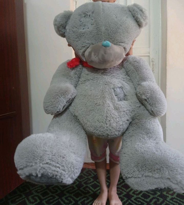 teddy teddy