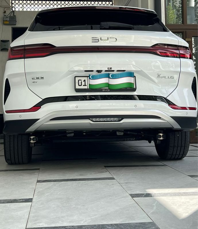 Byd champion restyling Byd champion restyling