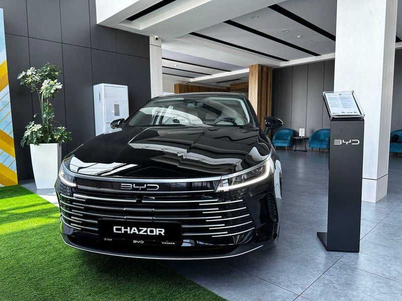 Yangi BYD Chazor DM-i Champion 2025 rasmiy dilerdan kafolat bilan