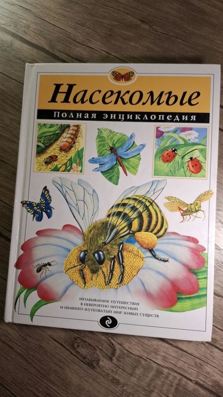 Энциклопедия "Насекомые" Энциклопедия "Насекомые"
