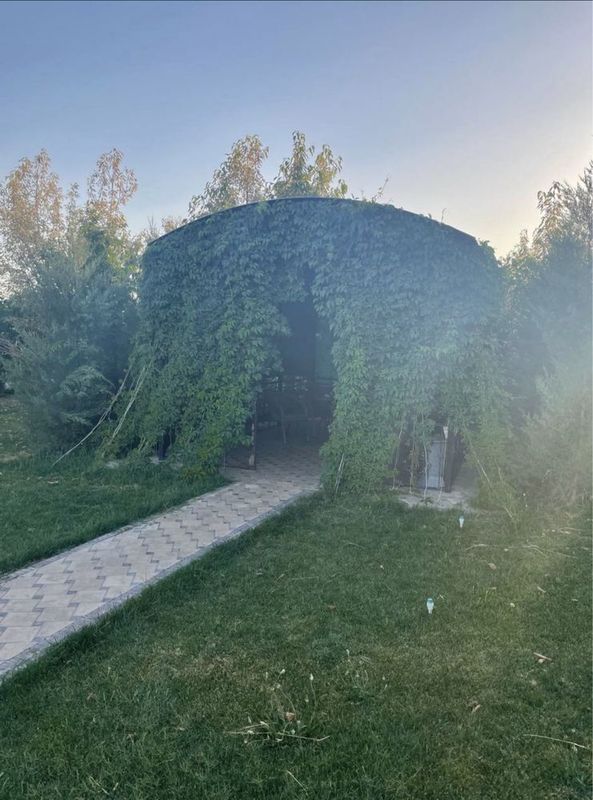 Сдаётся семейная дача в Самарканде Сдаётся семейная дача в Самарканде