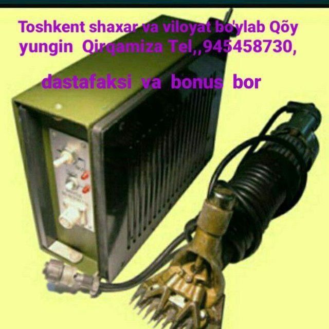 Qoʻy junini olamiz Qoʻy junini olamiz