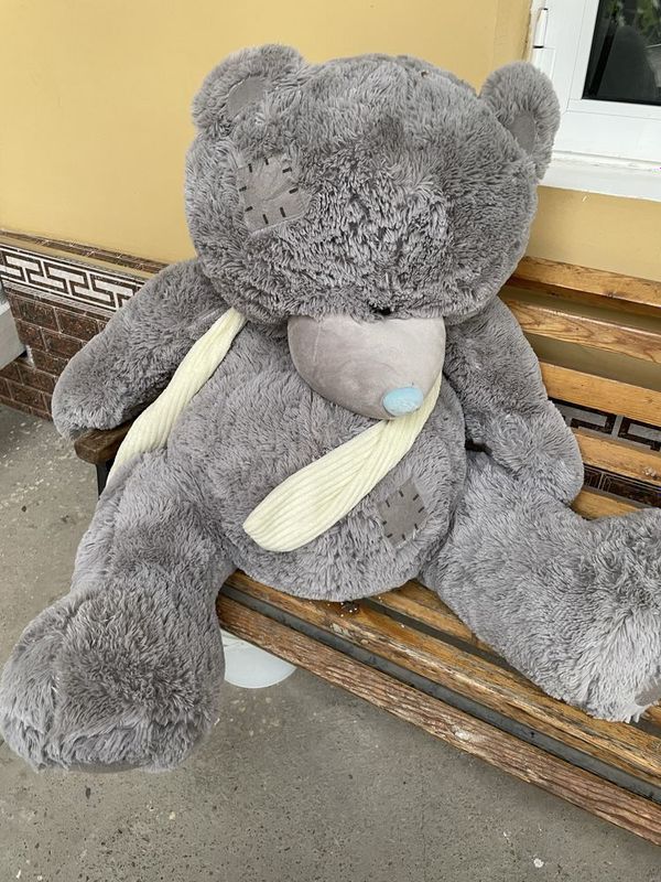 Teddy xolati yaxshii