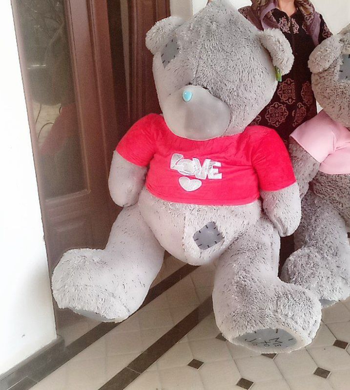 Teddy ayiglarmiz