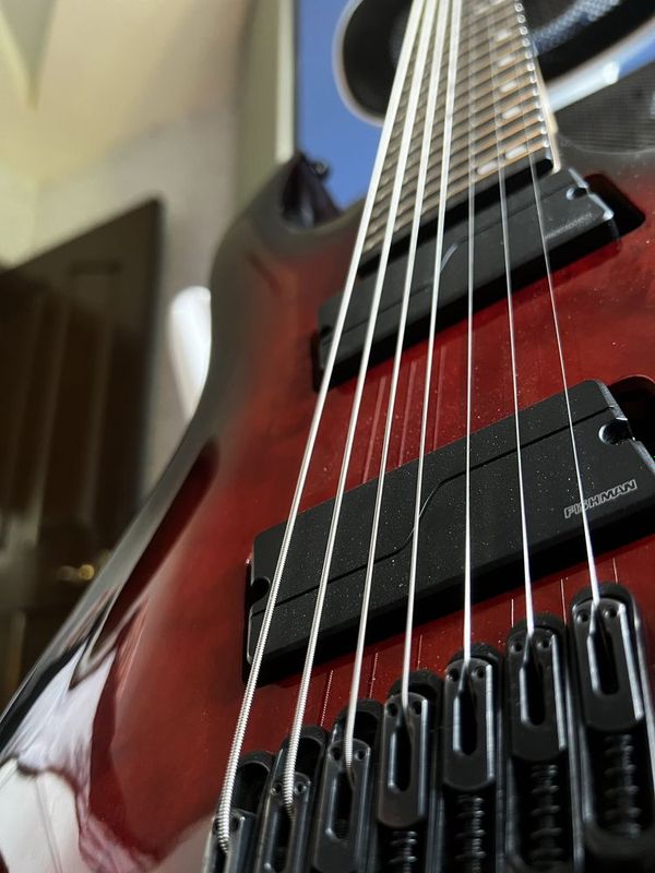 Семиструн HB, звукосниматели fishman Семиструн HB, звукосниматели fishman
