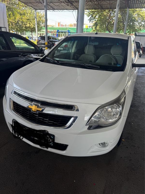 Kobilt sotiladi 2019 yil