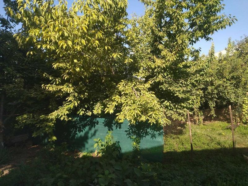 Ер (yer) сотилади участка