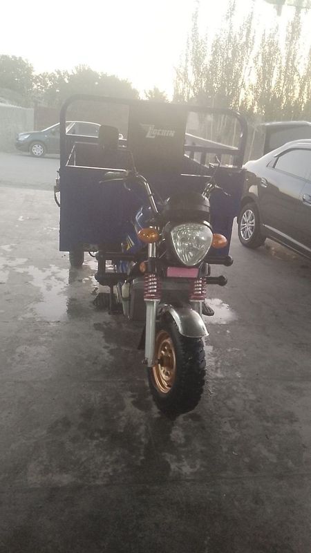 Муравей Лочин матор 300