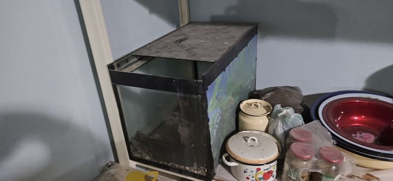 Akvarium holati yaxwi kam iwlatilgan Akvarium holati yaxwi kam iwlatilgan