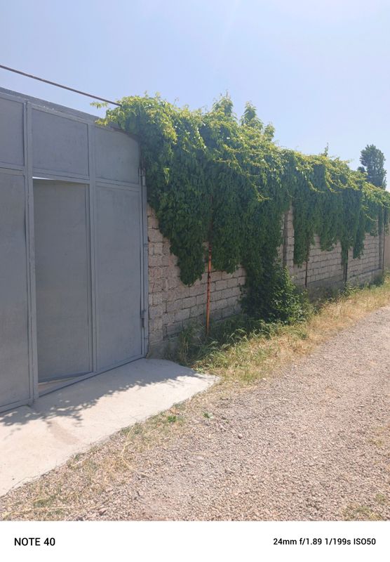 toytepa dacha srochna toytepa dacha srochna