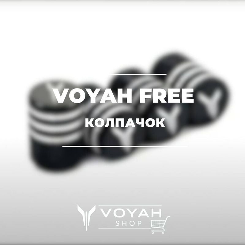 Колпачки для автомобильных ниппелей Voyah от «VoyahShop»